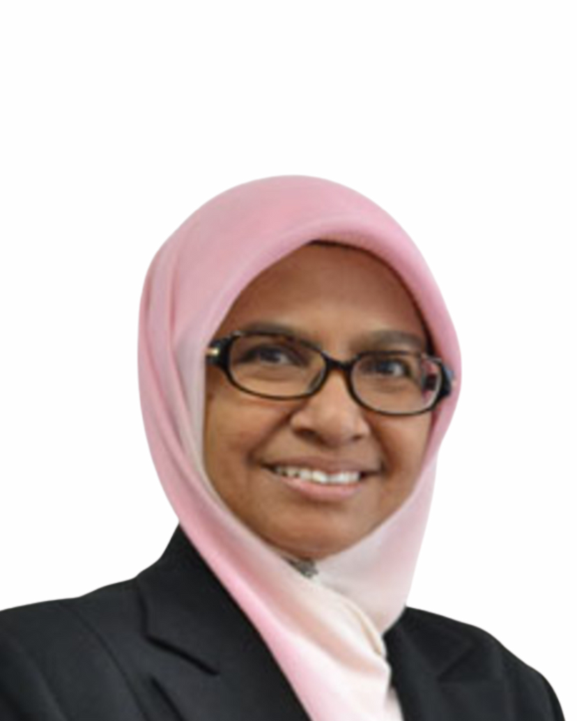 Prof. Dr. Norsarahaida